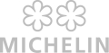 Logo Michelin